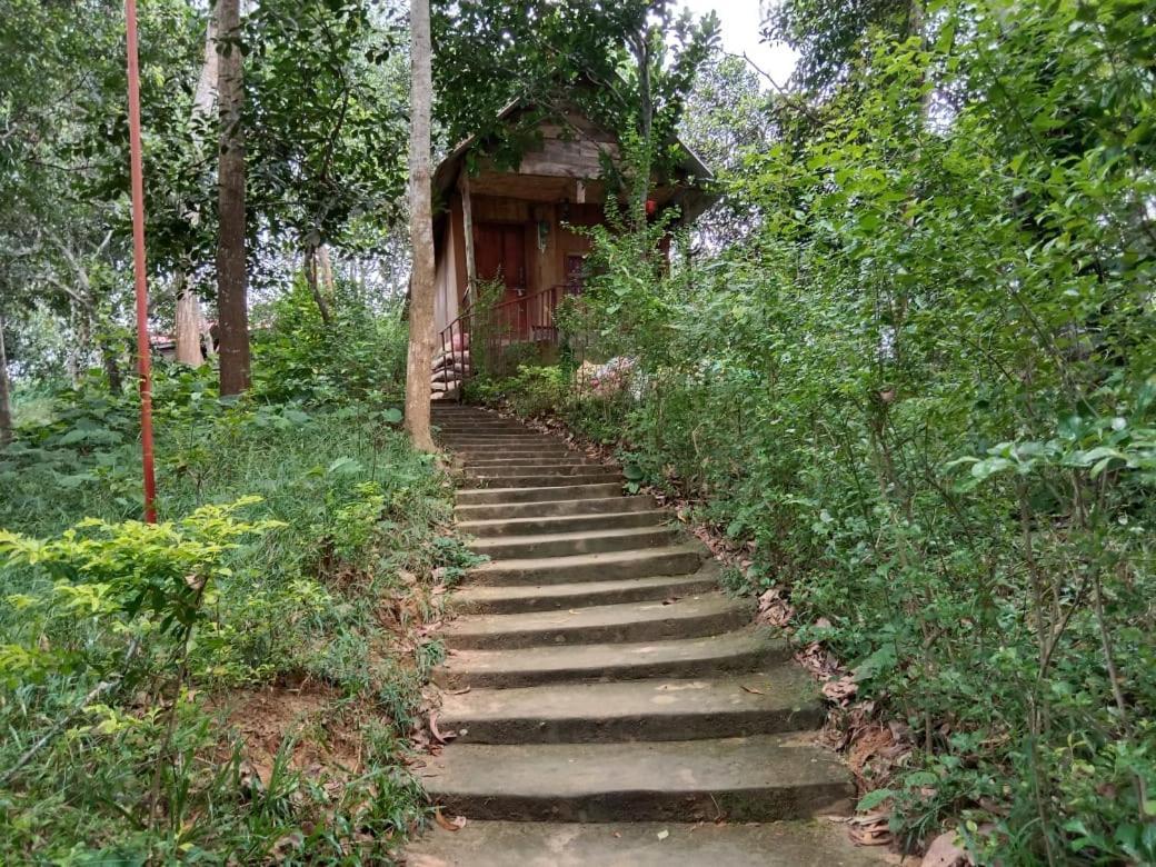 Jungle Cottage Srimangal Exterior foto